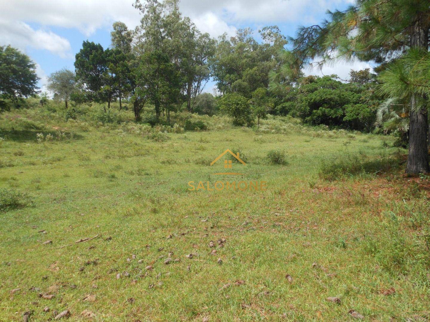 Sítio, 4 hectares - Foto 1