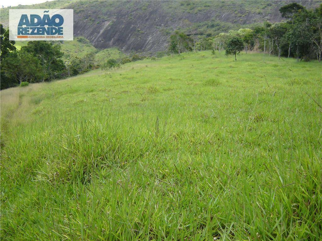 Fazenda à venda com 4 quartos, 1150000M2 - Foto 29