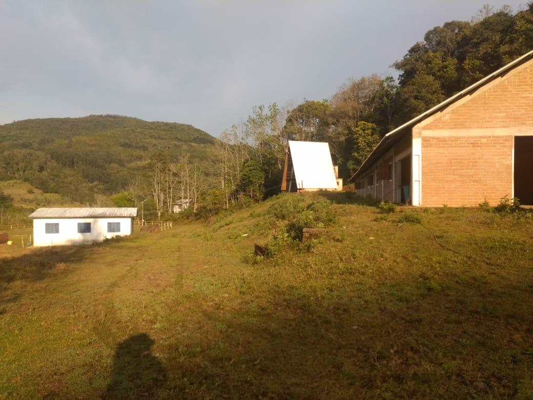 Sítio à venda com 1 quarto, 6000m² - Foto 2