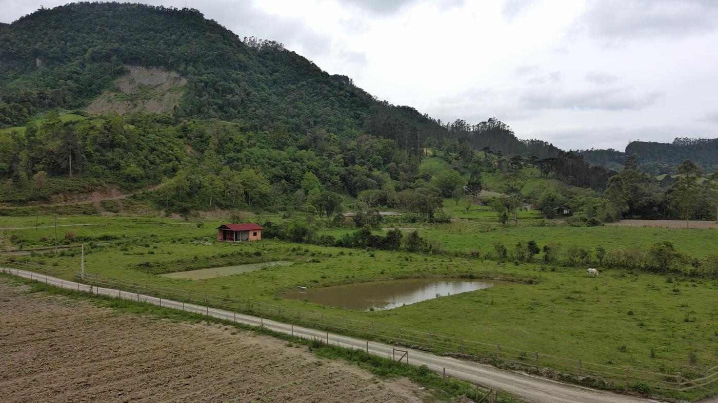 Fazenda à venda com 1 quarto, 10000m² - Foto 39