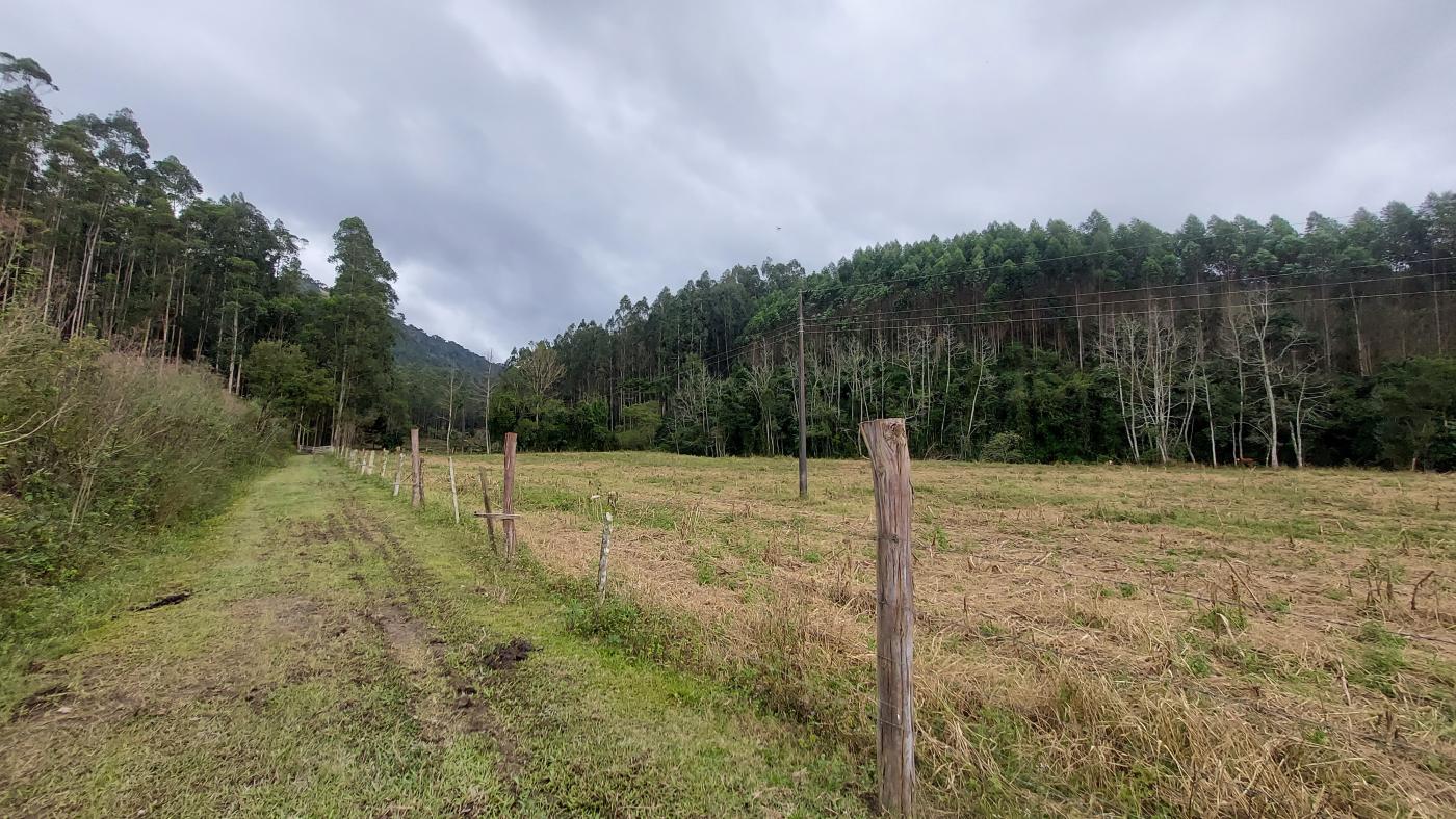 Fazenda à venda, 100000m² - Foto 19