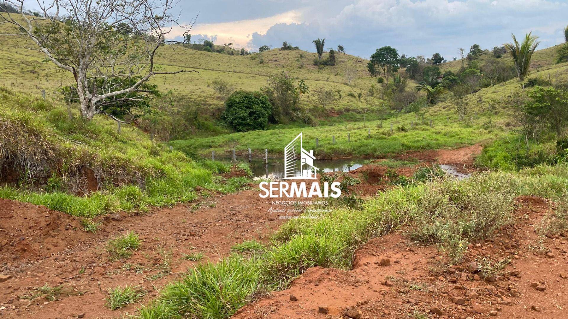 Fazenda, 4892 hectares - Foto 4