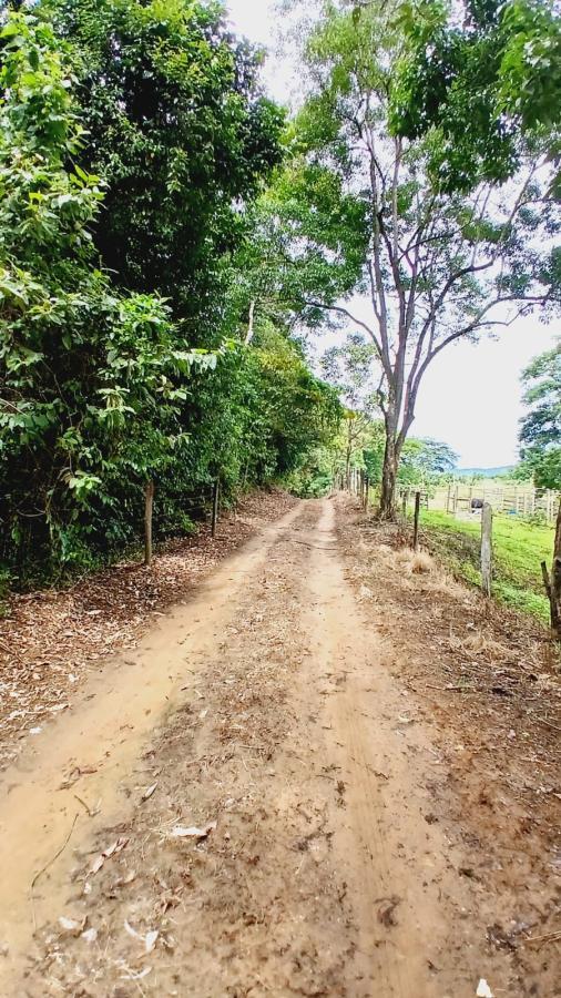 Fazenda à venda com 2 quartos, 96000m² - Foto 7