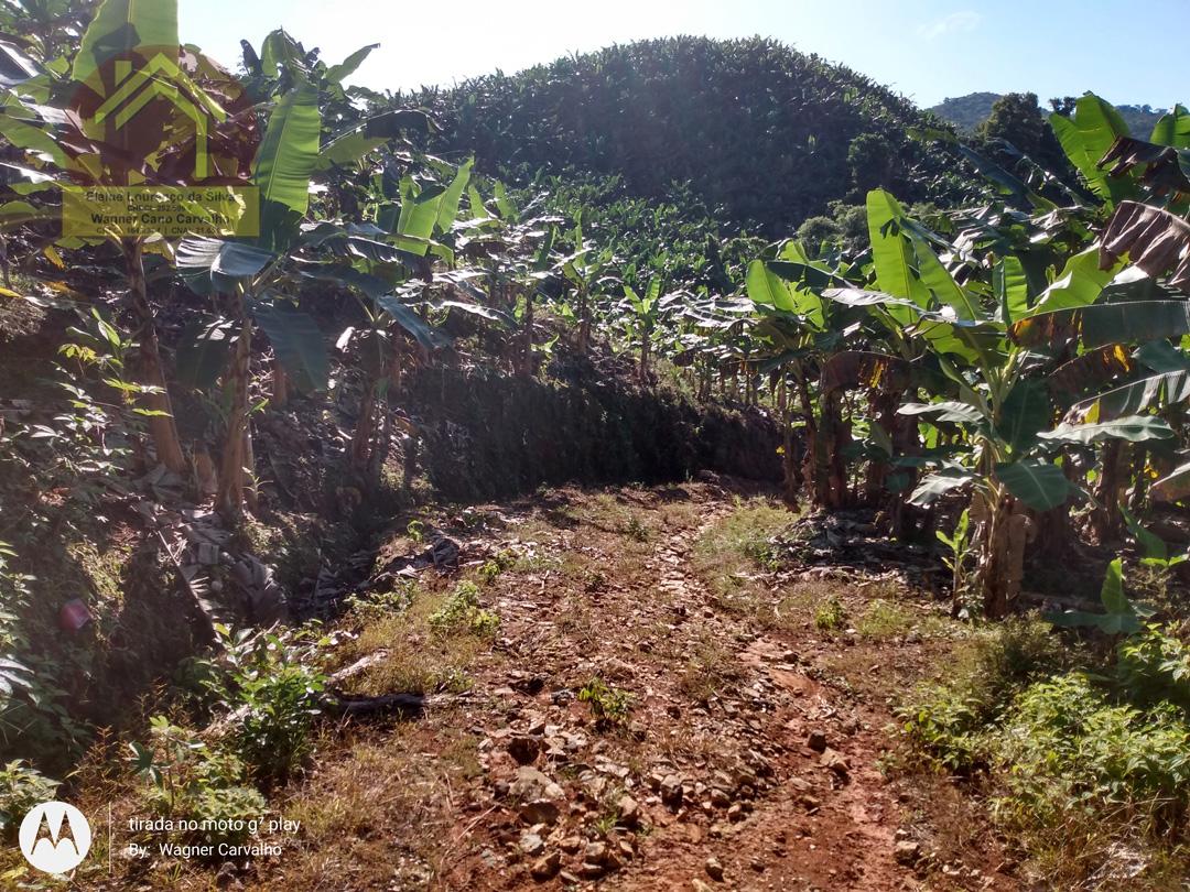 Fazenda à venda com 2 quartos, 8m² - Foto 2