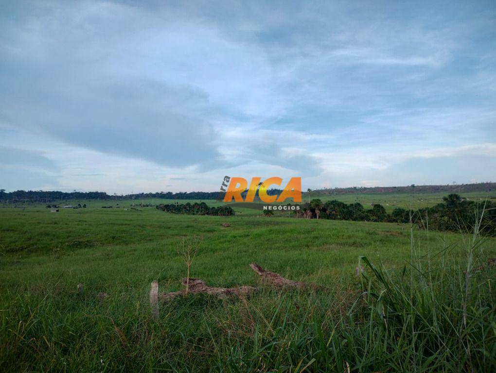 Fazenda à venda com 2 quartos, 39370000M2 - Foto 7