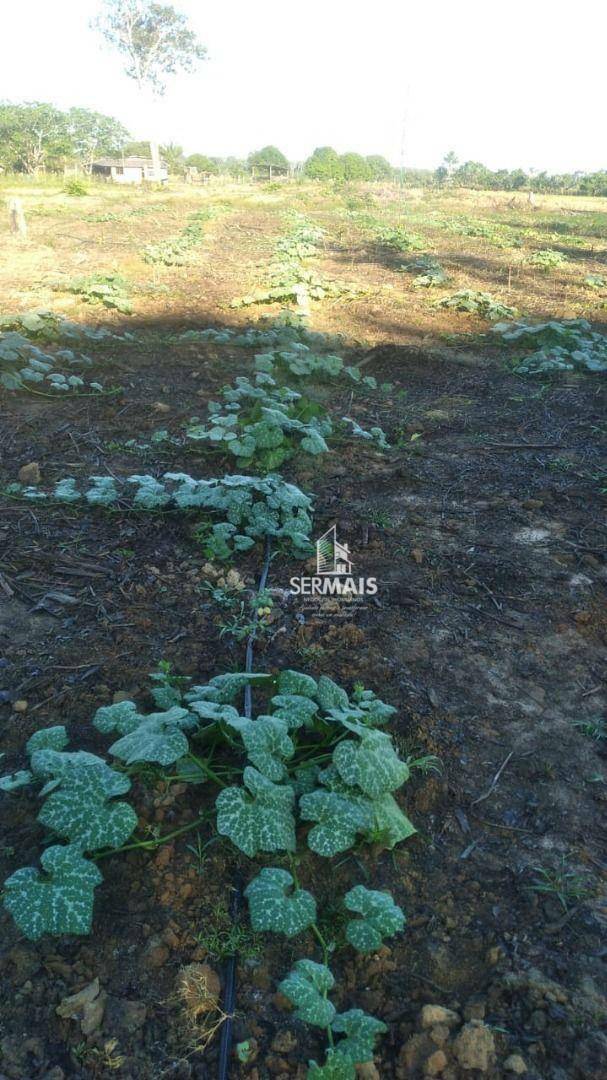 Terreno à venda, 1000000M2 - Foto 14