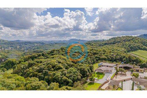 Terreno, 5 hectares - Foto 8