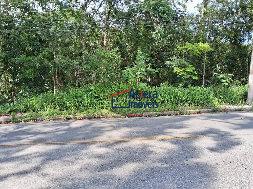 Terreno, 6000 m² - Foto 5