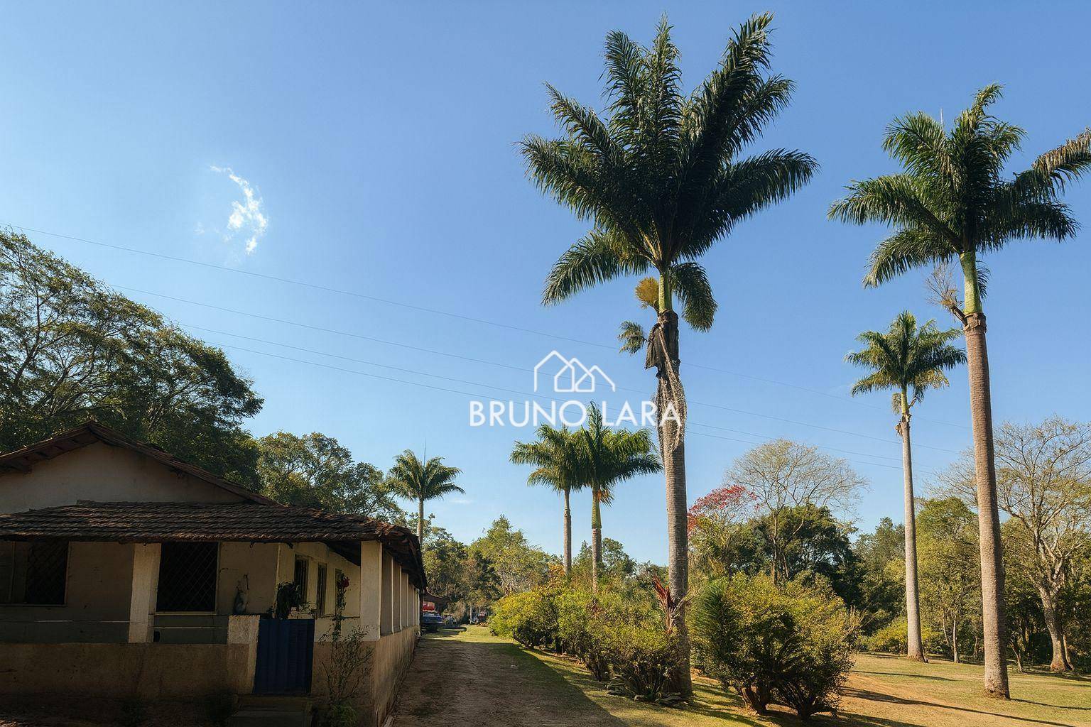 Sítio, 4 quartos, 15 hectares - Foto 3