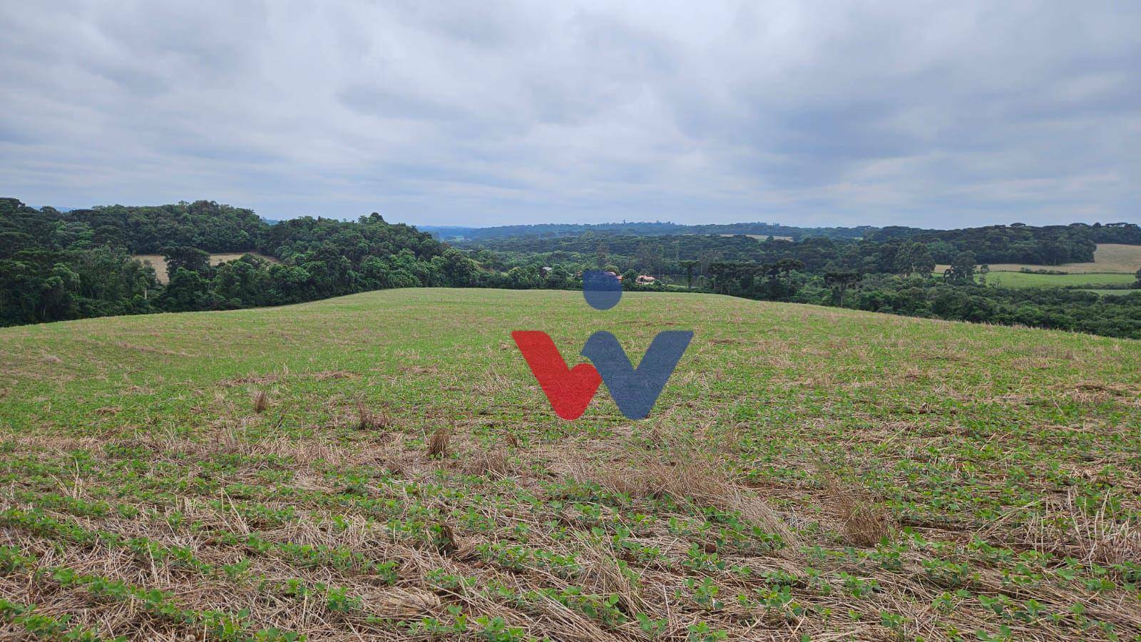 Fazenda à venda com 3 quartos, 1694000M2 - Foto 38