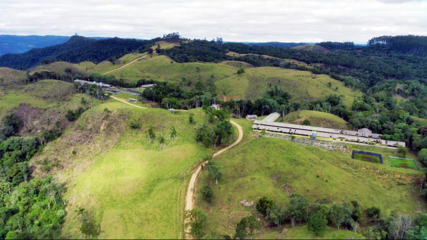 Fazenda à venda com 2 quartos, 862000m² - Foto 16