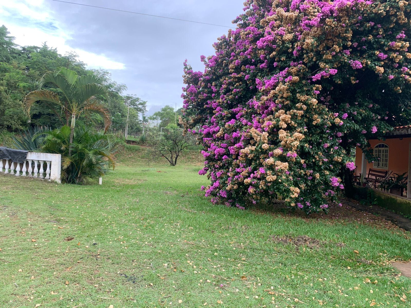 Fazenda à venda com 4 quartos, 5000m² - Foto 4