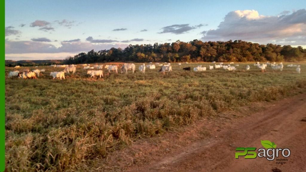 Fazenda à venda, 190000000M2 - Foto 11