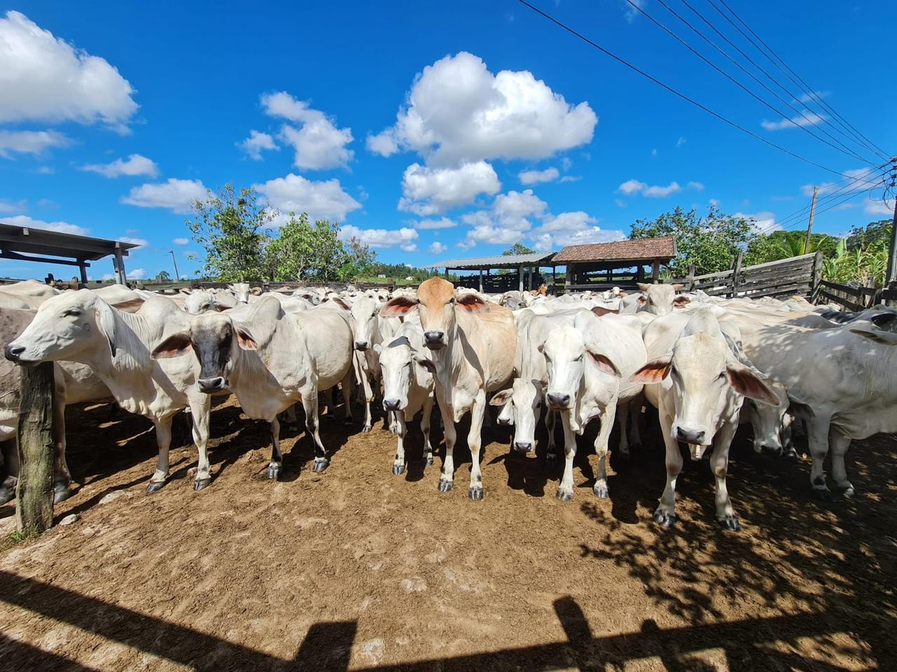 Fazenda à venda, 48400m² - Foto 52