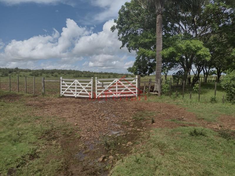 Fazenda-Sítio-Chácara, 4 quartos - Foto 1