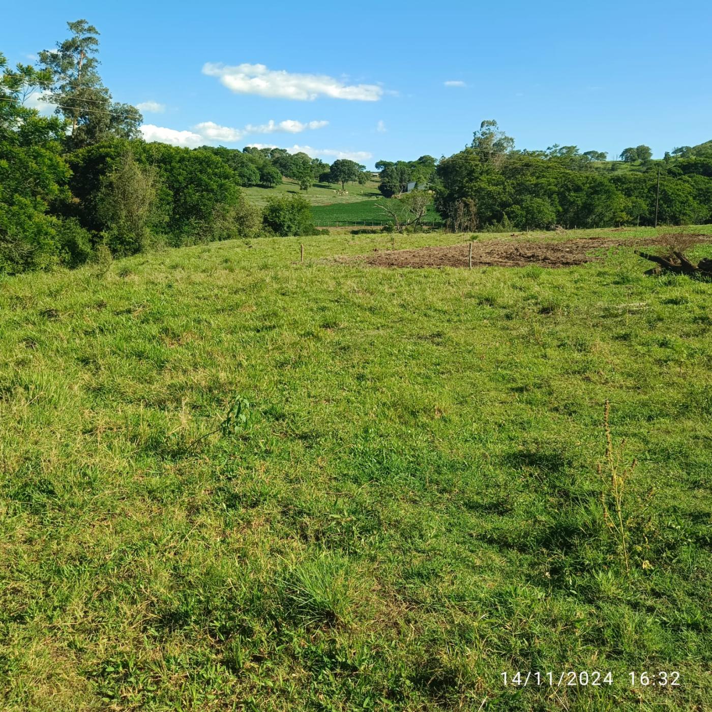 Fazenda à venda, 81160m² - Foto 30