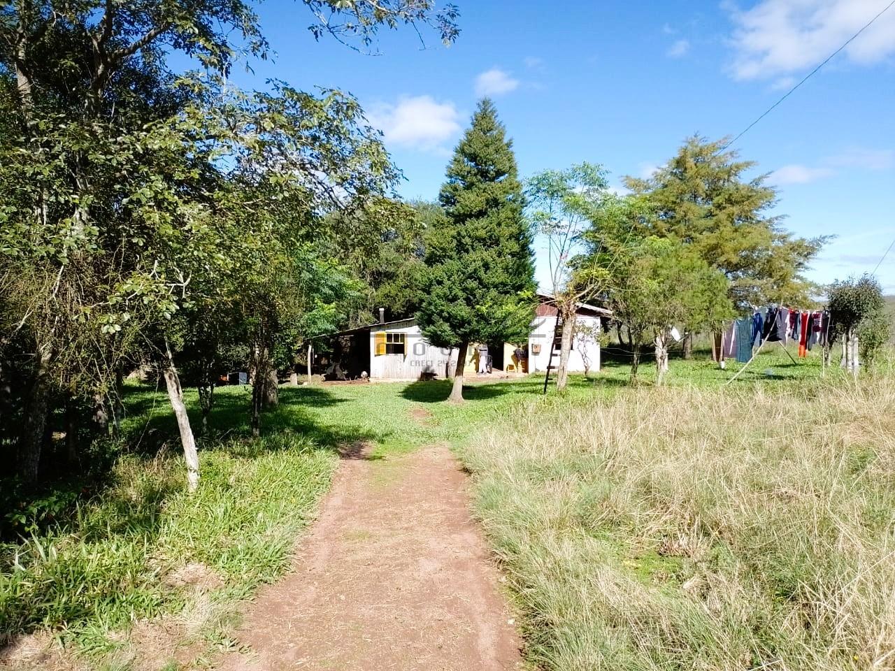 Fazenda-Sítio-Chácara, 50 m² - Foto 7