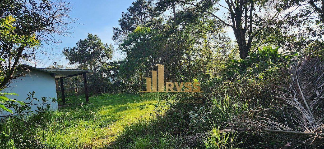 Depósito-Galpão-Armazém à venda e aluguel, 7267m² - Foto 46