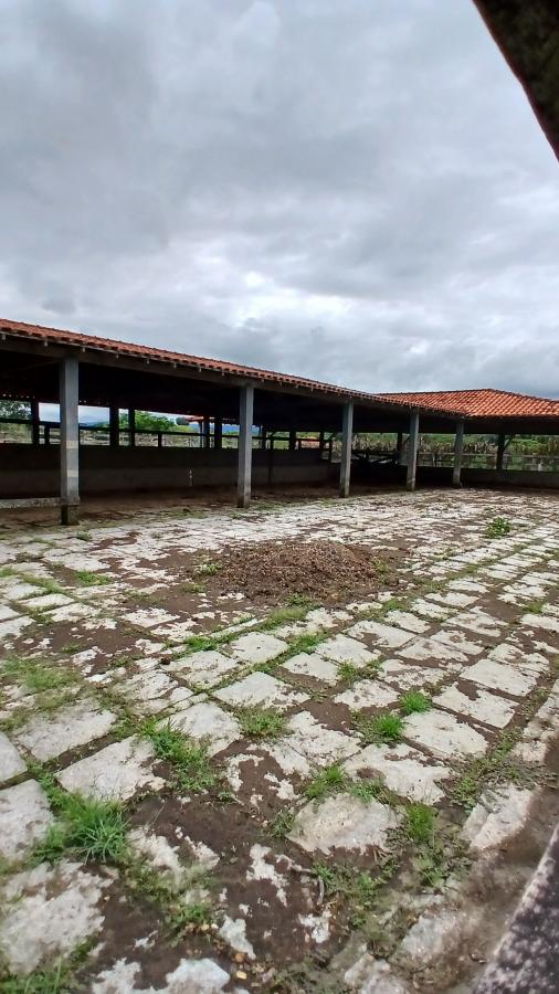 Fazenda à venda com 4 quartos, 19m² - Foto 26