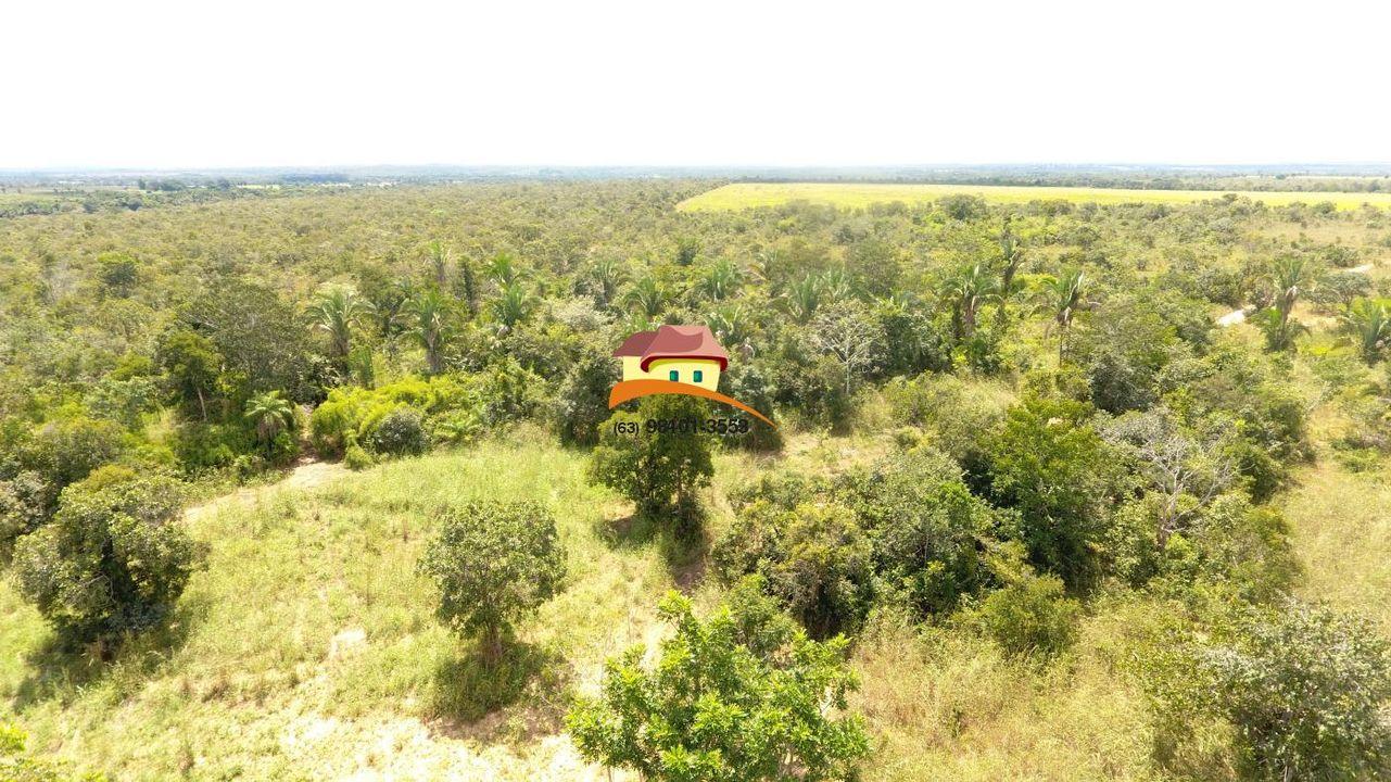 Fazenda, 387 hectares - Foto 19