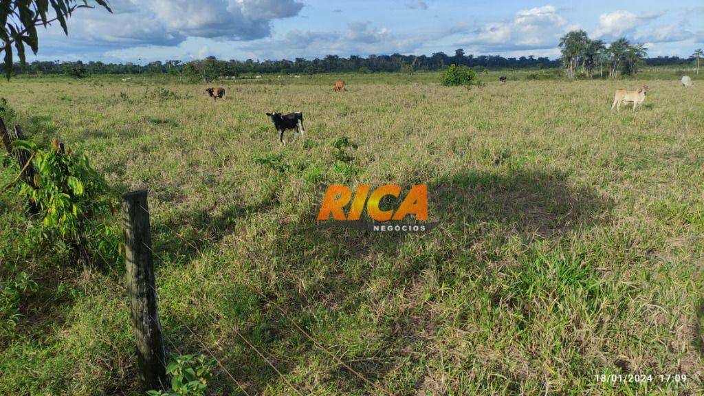 Fazenda-Sítio-Chácara, 477 hectares - Foto 2