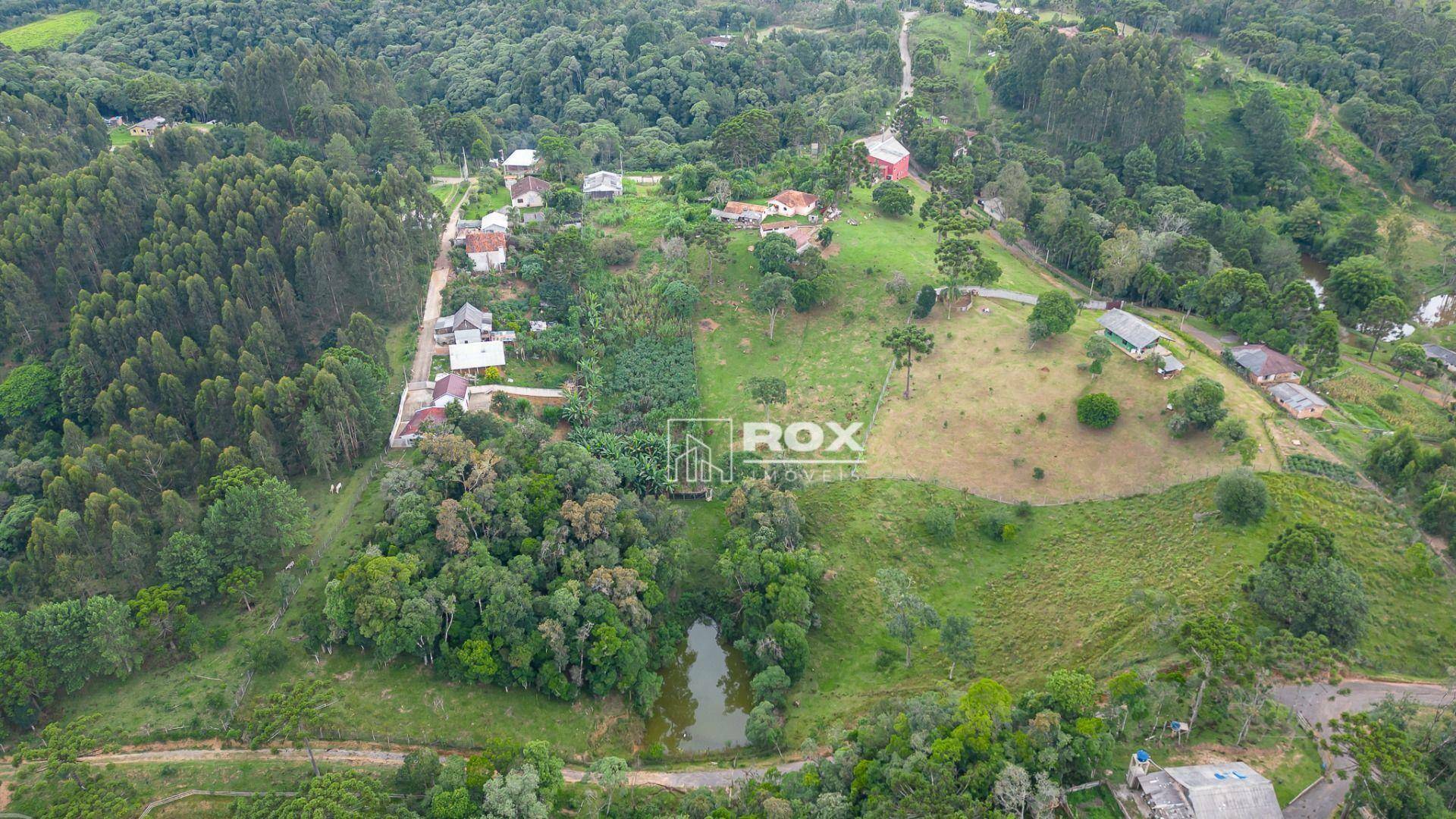 Chácara à venda com 10 quartos, 34360M2 - Foto 33