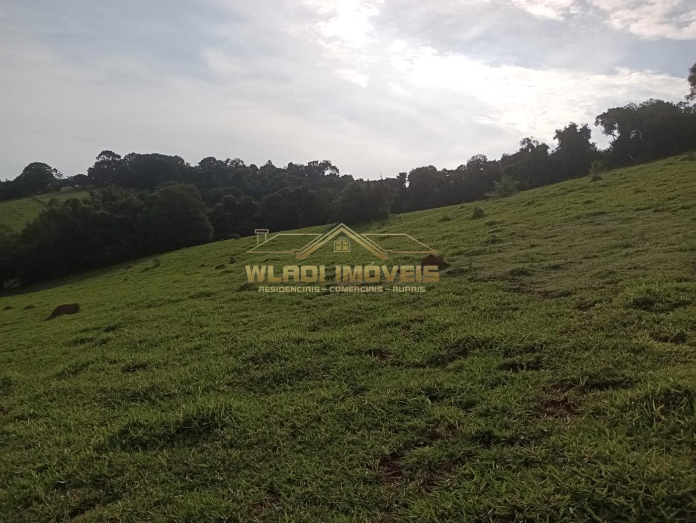 Fazenda à venda com 4 quartos, 7m² - Foto 16