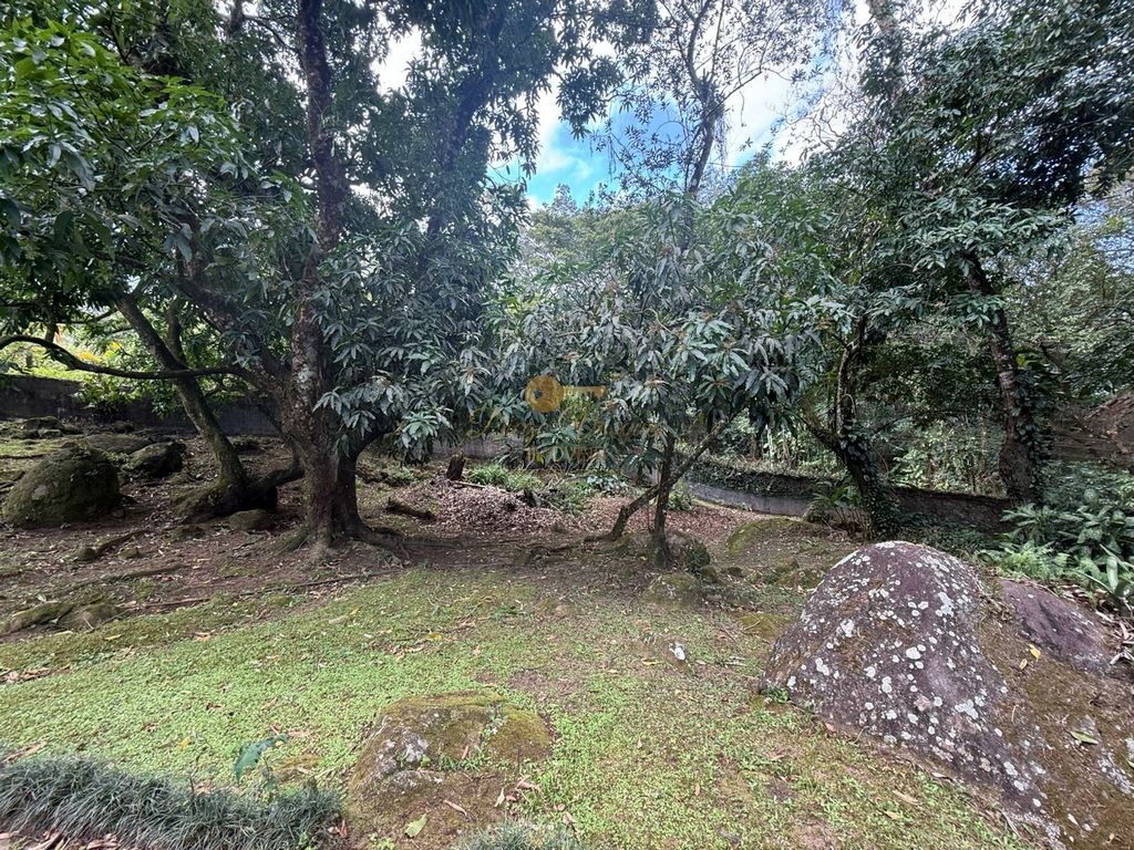 Terreno à venda com 1 quarto, 2033m² - Foto 3