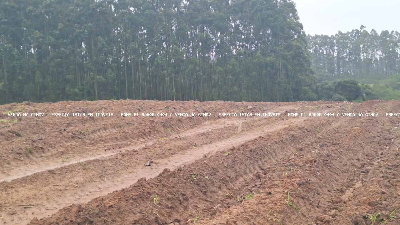 Fazenda à venda com 2 quartos, 141000m² - Foto 22