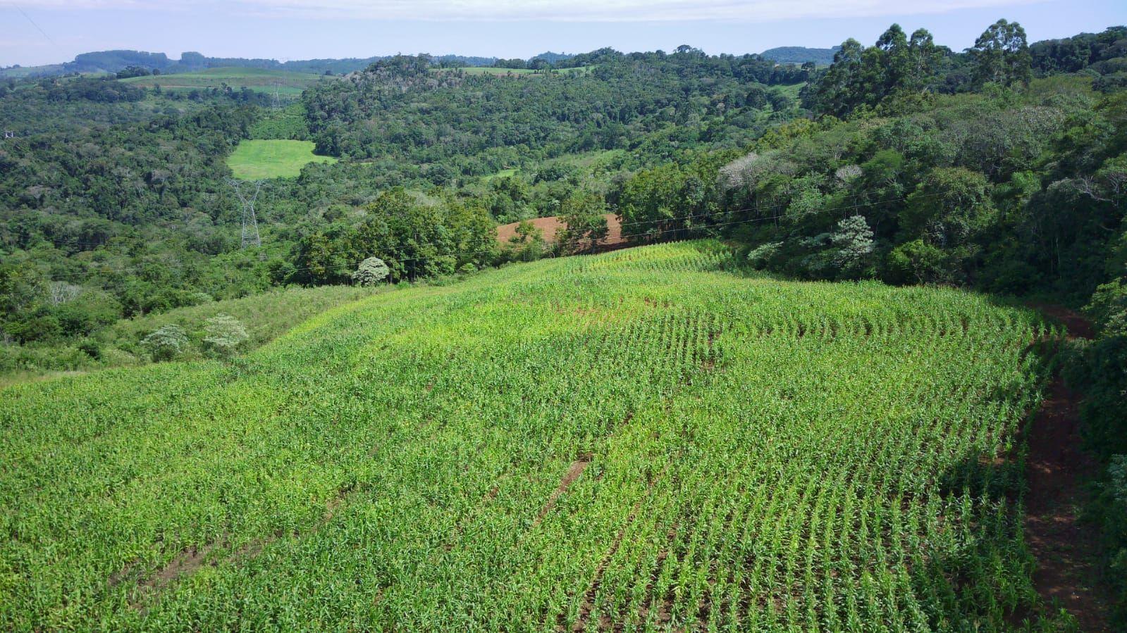 Loteamento e Condomínio à venda, 120000m² - Foto 2