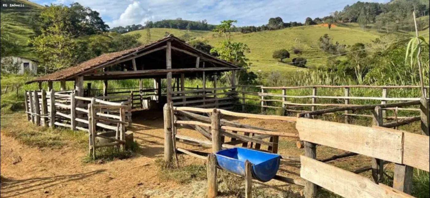 Sítio à venda com 3 quartos, 150m² - Foto 5