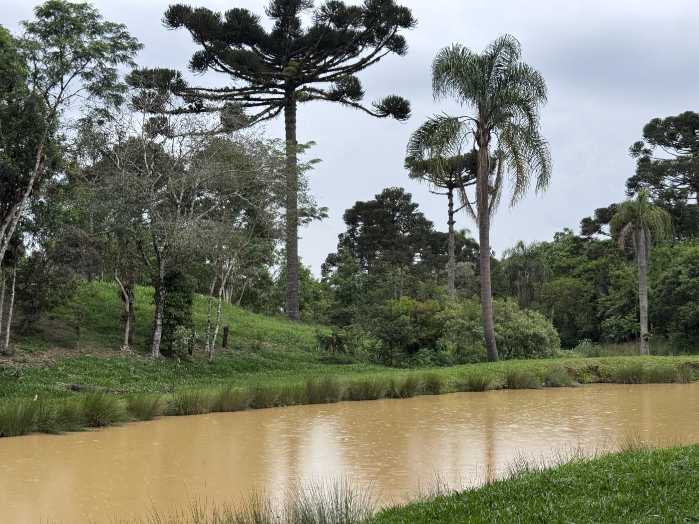 Chácara à venda com 4 quartos, 15000m² - Foto 49