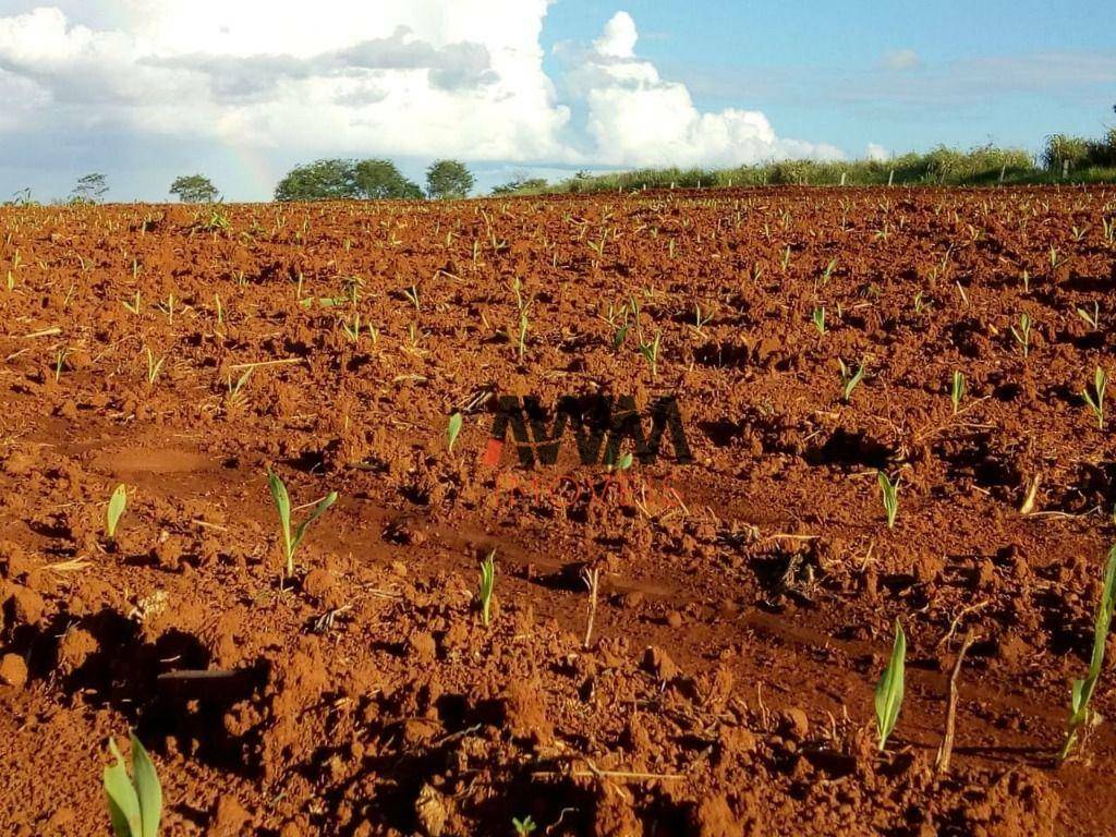 Fazenda à venda, 1380000M2 - Foto 3