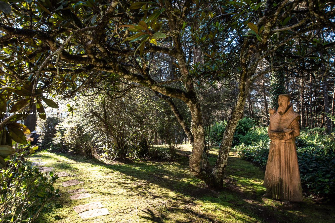 Casa à venda com 6 quartos, 40000m² - Foto 42