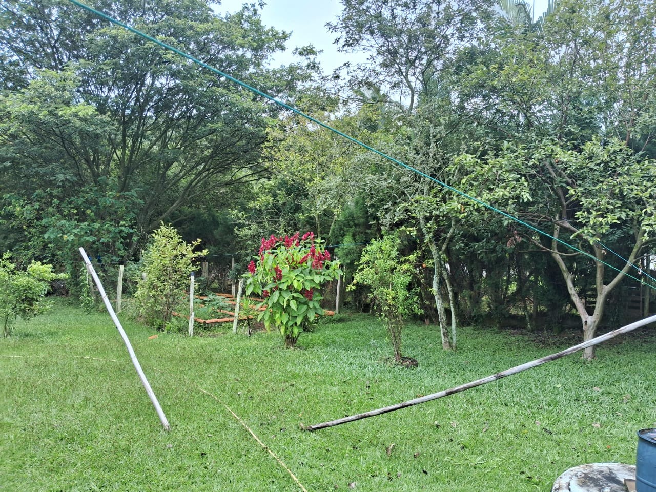Chácara à venda com 4 quartos, 3500m² - Foto 12
