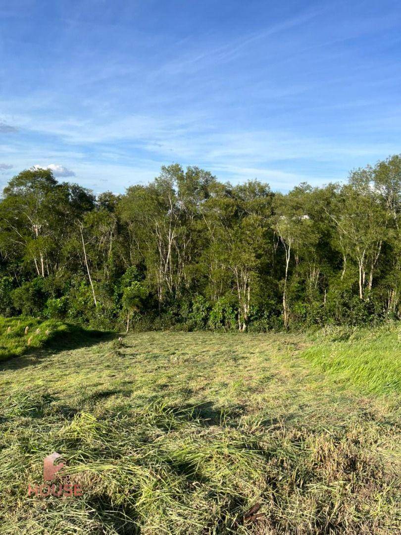 Loteamento e Condomínio, 956 m² - Foto 4