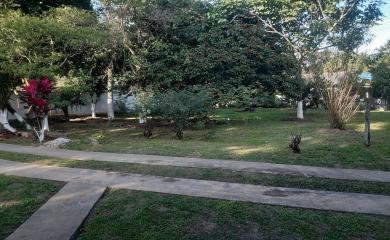 Sítio à venda com 3 quartos, 3500m² - Foto 10