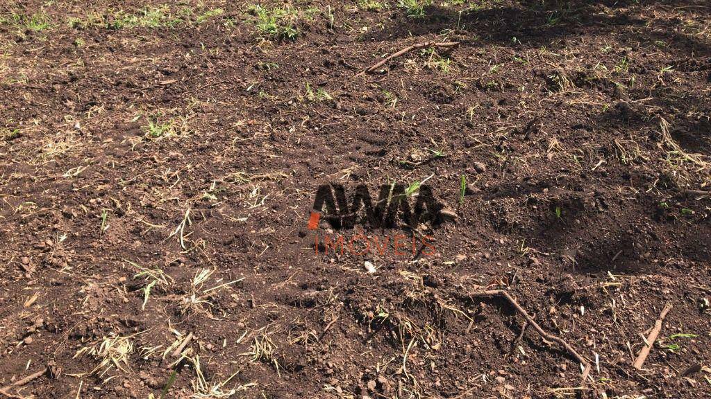 Fazenda-Sítio-Chácara, 150 hectares - Foto 5