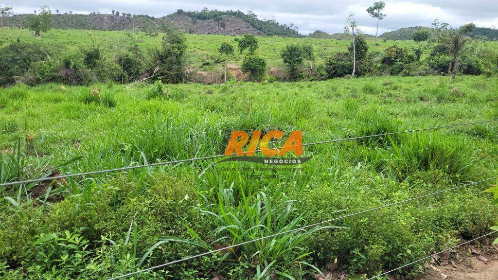 Fazenda à venda com 2 quartos, 4100000M2 - Foto 6