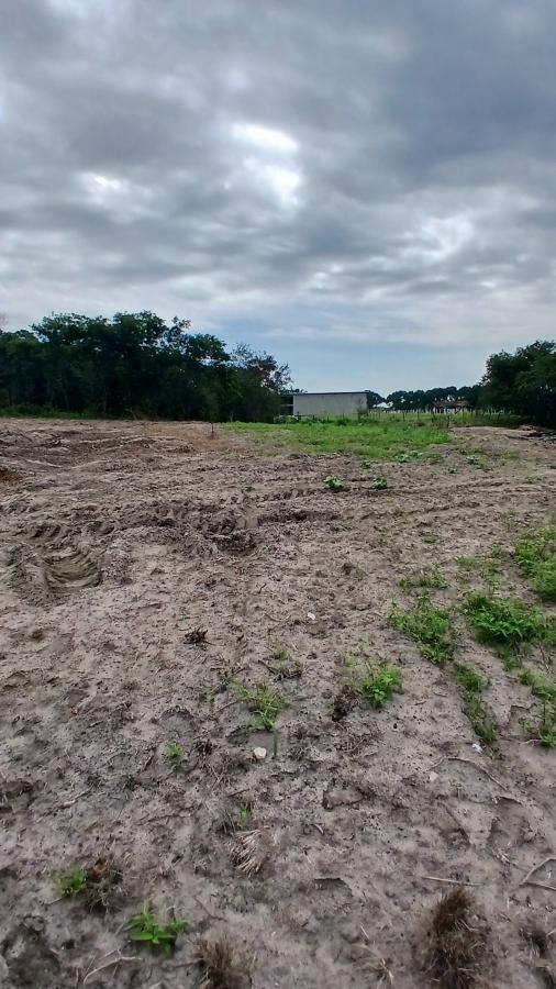 Fazenda à venda com 2 quartos, 31000m² - Foto 19