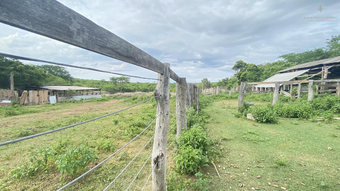 Chácara à venda com 3 quartos, 580m² - Foto 20