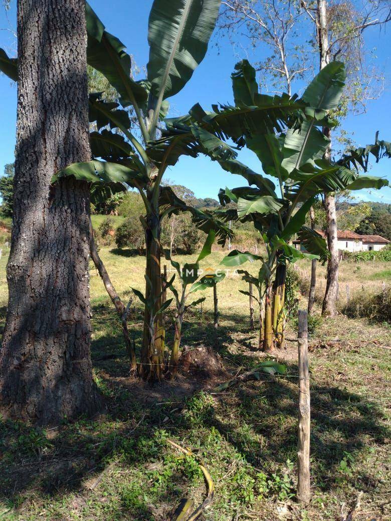 Terreno à venda, 4500M2 - Foto 4