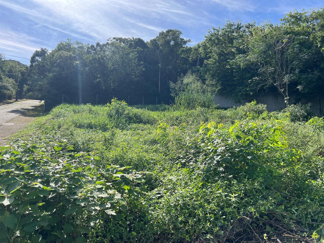 Terreno à venda, 455m² - Foto 13
