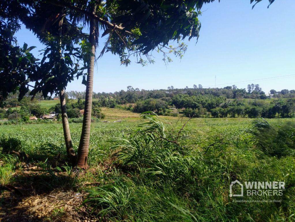 Terreno à venda, 15000M2 - Foto 3