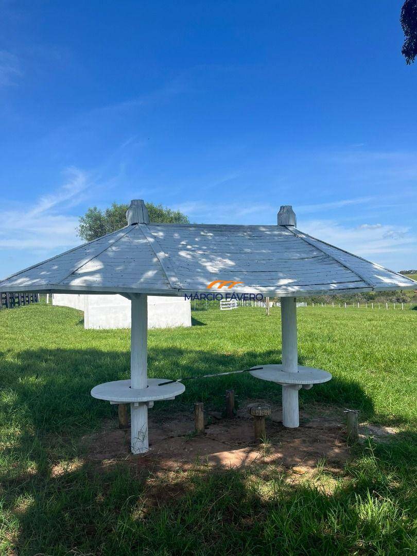 Fazenda, 322 hectares - Foto 11