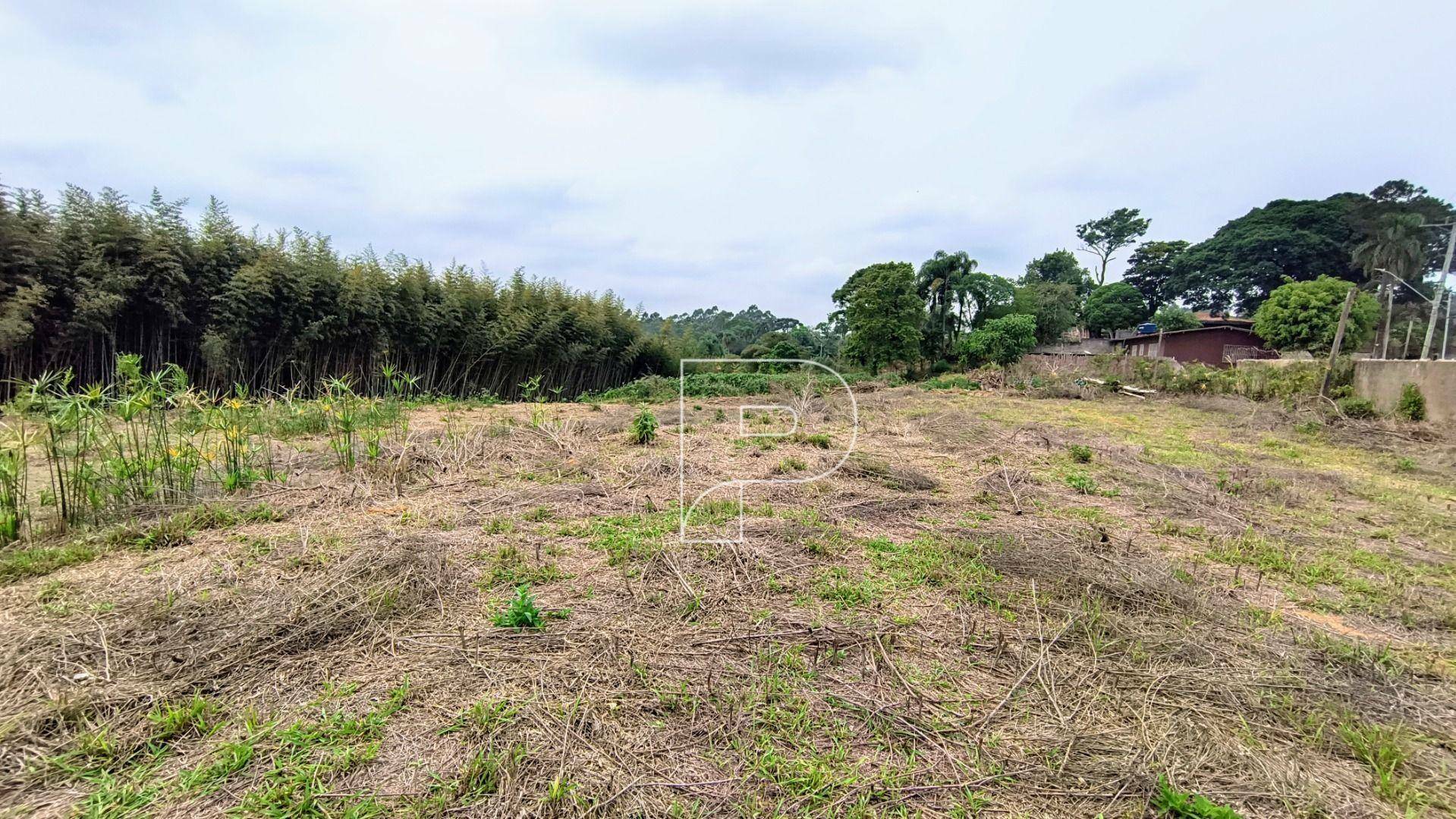 Terreno à venda, 2460M2 - Foto 5