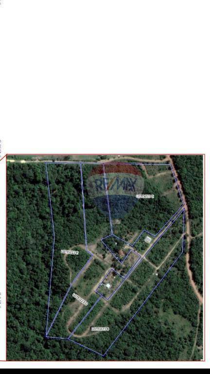 Terreno, 3 hectares - Foto 2