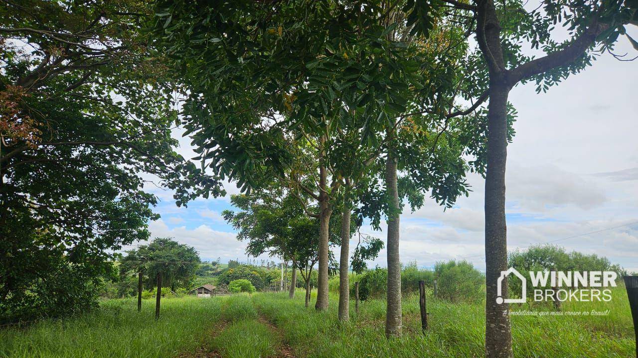 Sítio, 1 quarto, 5 hectares - Foto 2