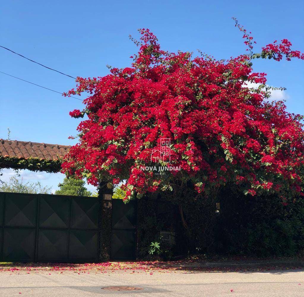 Chácara à venda com 2 quartos, 130m² - Foto 20