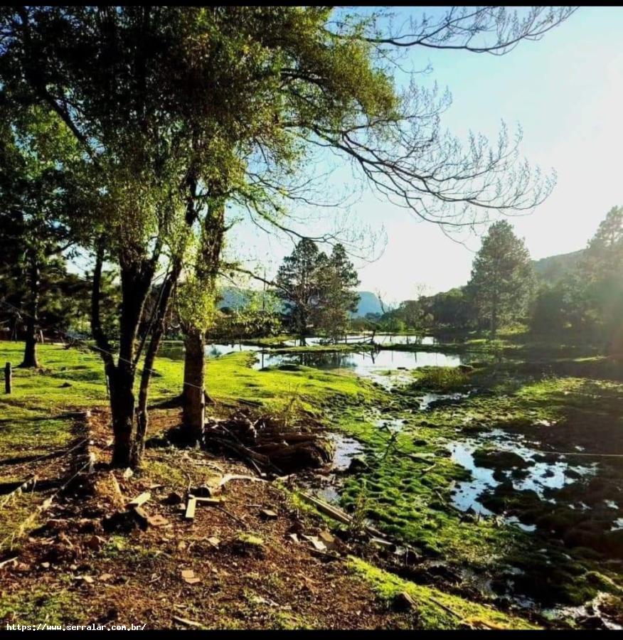 Fazenda à venda, 1m² - Foto 2